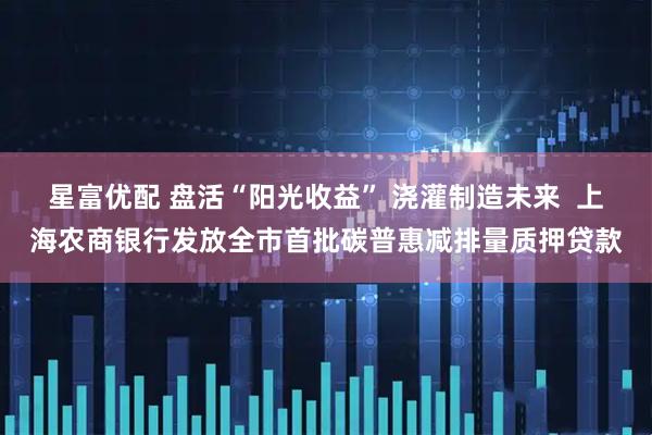 星富优配 盘活“阳光收益” 浇灌制造未来  上海农商银行发放全市首批碳普惠减排量质押贷款