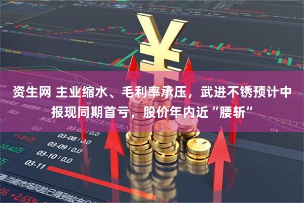 资生网 主业缩水、毛利率承压，武进不锈预计中报现同期首亏，股价年内近“腰斩”